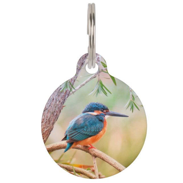 Médaillon Pour Animaux Martin-pêcheur perché sur une branche (Devant)
