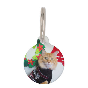 Médaillon Pour Animaux Mec du Maine I