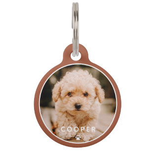 Médaillon Pour Animaux Moderne Simple Jouer Élégant Chic Paw Pet Photo