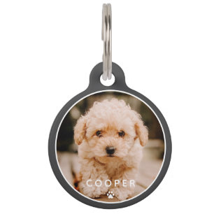 Médaillon Pour Animaux Moderne Simple Jouer Élégant Chic Paw Pet Photo