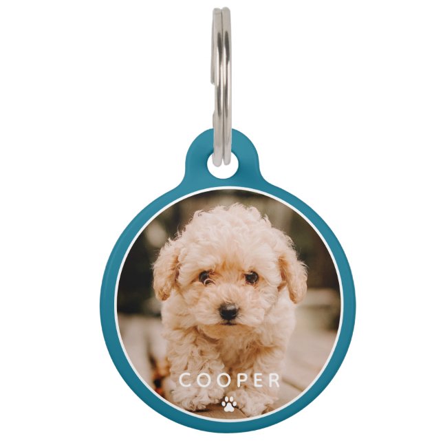 Médaillon Pour Animaux Moderne Simple Jouer Élégant Chic Paw Pet Photo (Devant)