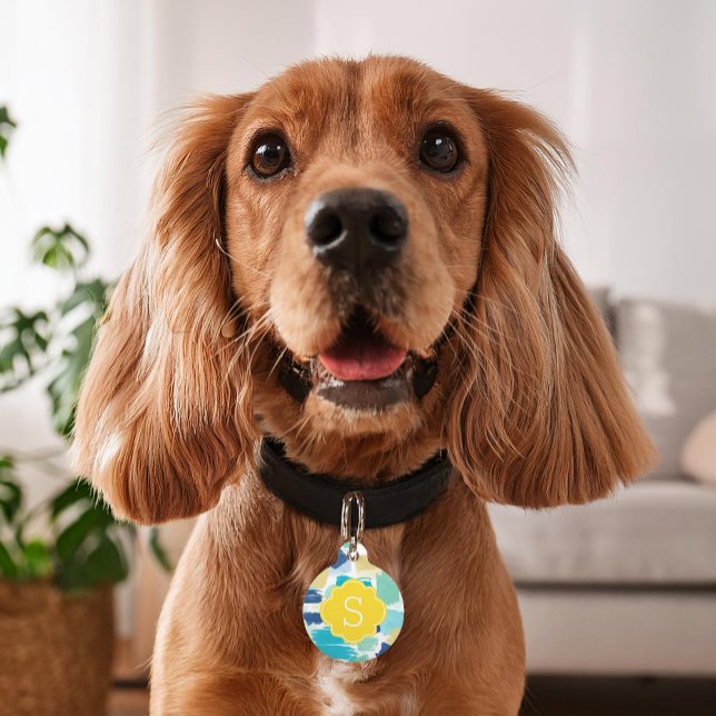 Médaillon Pour Animaux Monogramme de peinture colorée (Créateur téléchargé)