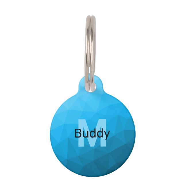 Médaillon Pour Animaux Monogramme motif de maillage géométrique dégradé c (Devant)