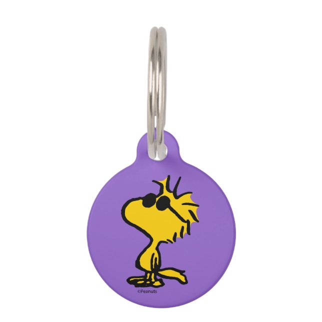 Médaillon Pour Animaux Motif Lunettes de soleil Cool Woodstock (Devant)