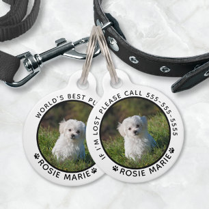 Médaillon Pour Animaux Nom de photo de chien mignon Empreintes de pattes 