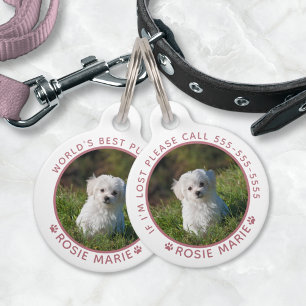 Médaillon Pour Animaux Nom de photo de chien mignon Empreintes de pattes