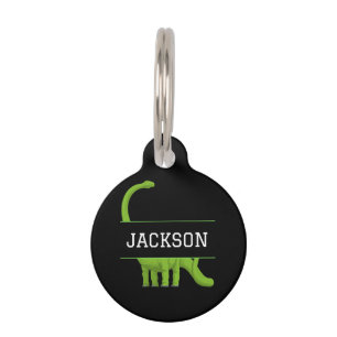 Médaillon Pour Animaux Nom du menu Dinosaure noir personnalisé