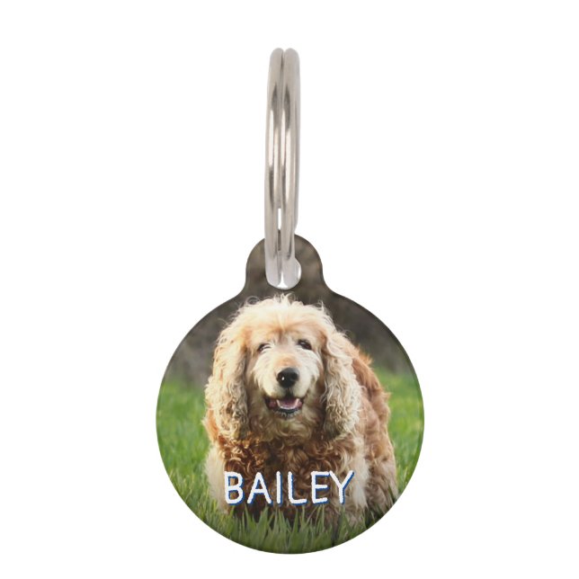 Médaillon Pour Animaux Nom du monogramme de plage en détresse Adresse ID  (Devant)