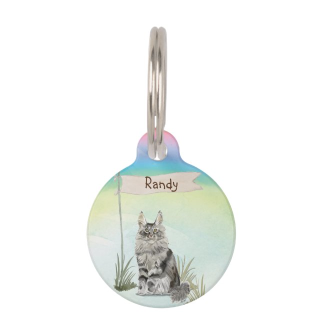 Médaillon Pour Animaux Nom Personnalisé Maine Coon Pet (Devant)