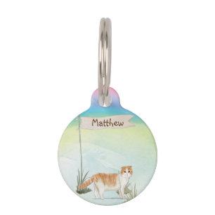 Médaillon Pour Animaux Nom personnalisé Scottish Pold Cat Pet
