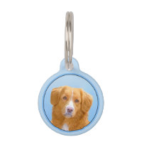 Nouvelle-Écosse Peinture de chien pour l'essayeur