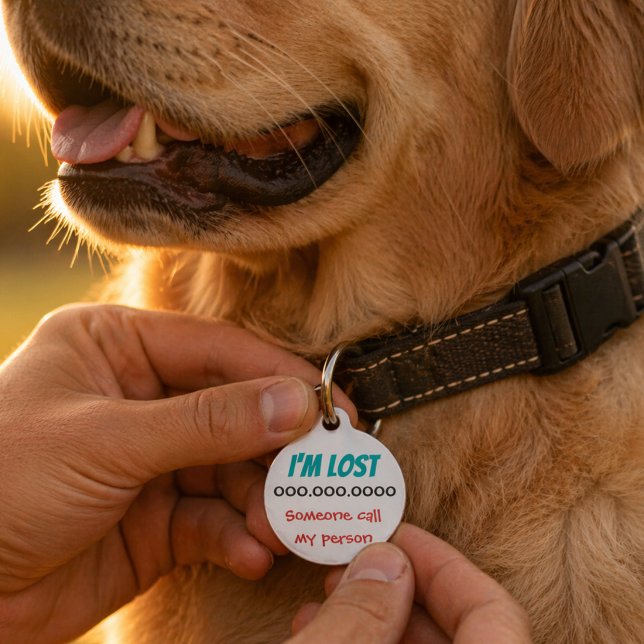 Médaillon Pour Animaux Objet Trouvé Retour Animal de Compagnie (Lost Dog Identification Tag. Help your dog find their home. Address, name, phone number. )