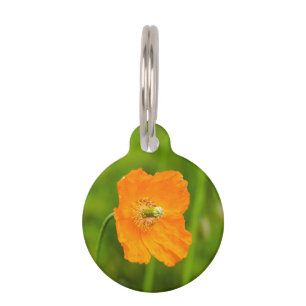 Médaillon Pour Animaux Orange Poppy Flower Nom Photo Et Numéro De Télépho