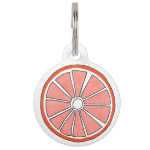 Médaillon Pour Animaux Orange Tropical Agrumes Fruit Slice Fruit