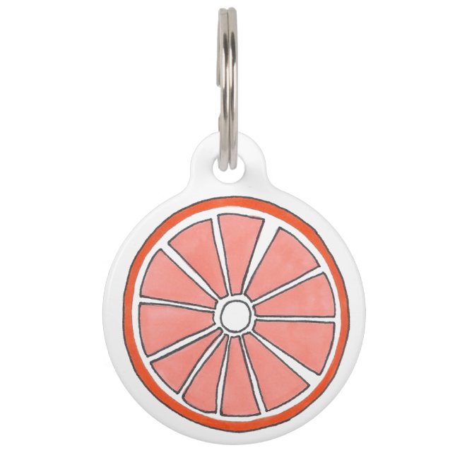 Médaillon Pour Animaux Orange Tropical Agrumes Fruit Slice Fruit (Devant)