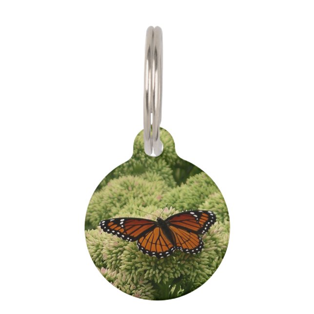 Médaillon Pour Animaux Papillon Viceroy Belle photographie de la nature (Devant)