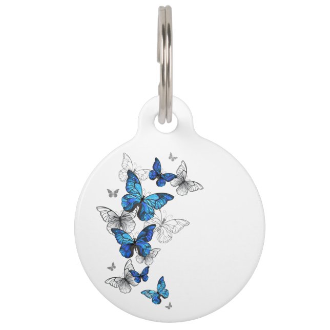 Médaillon Pour Animaux Papillons volants bleus Morpho (Devant)