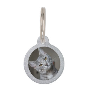 Médaillon Pour Animaux Parties scintillant Argent Chat Kitten Animaux de