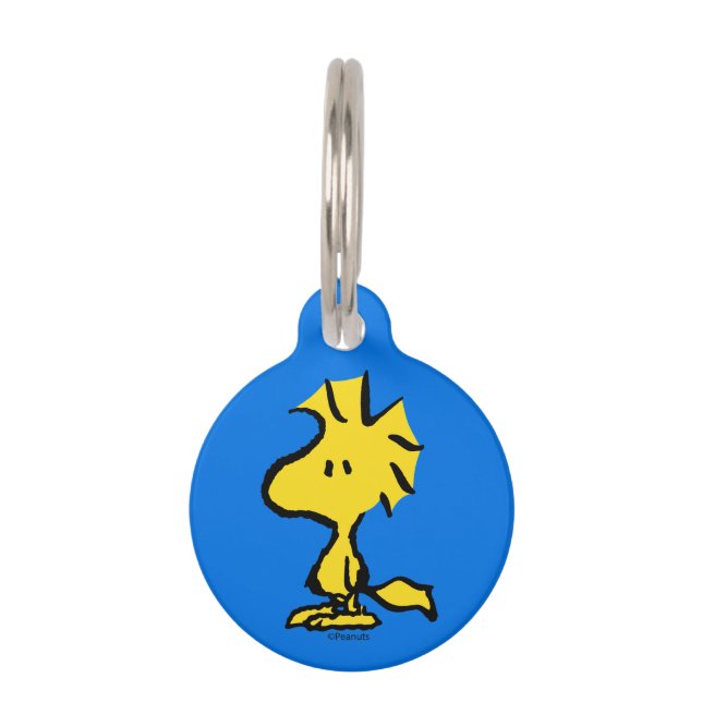 Médaillon Pour Animaux Peanuts | Snoopy's Friend Woodstock (Devant)