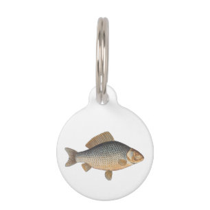 Médaillon Pour Animaux peinture de pêche de carpe dessin d'eau douce 