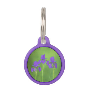 Médaillon Pour Animaux Peinture Iris violette - Art Fleur original