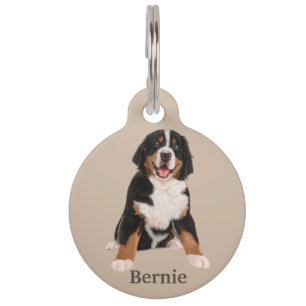 Médaillon Pour Animaux Personnaliser le chien de montagne bernois