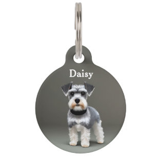 Médaillon Pour Animaux Personnaliser le Schnauzer miniature