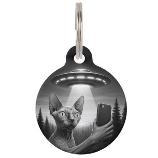 Médaillon Pour Animaux Personnaliser Sphynx Chat Drôle  Étiquette d'ident