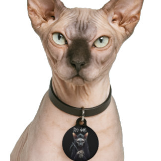 Médaillon Pour Animaux Personnalisez Chat Sphynx Faucheuse Drôle