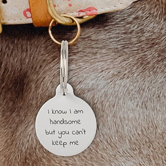 Médaillon Pour Animaux Pet Chien Chat Drôle Humour ID Personnaliser perdu (Créateur téléchargé)