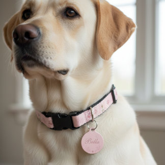 Médaillon Pour Animaux Pet Dog Create Custom Name Lost Text Pet ID Tag