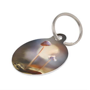 Médaillon Pour Animaux Petits champignons Photo nature