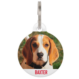 Médaillon Pour Animaux Photo de chien Beagle pour animaux de compagnie pe