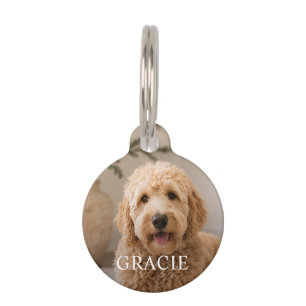 Médaillon Pour Animaux Photo de compagnie personnalisée moderne simple