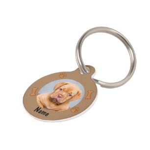 Médaillon Pour Animaux Photo et nom du chien, avec os et Empreintes de pa