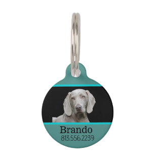 Médaillon Pour Animaux Photo personnalisée de chien