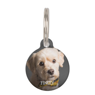 Médaillon Pour Animaux Photo personnalisée et texte personnalisé