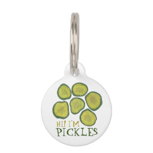 Médaillon Pour Animaux Pickles Chiens Green Kosher Dill Pickle Chips