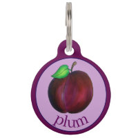 Plums mûrs Été Purple Plum Illustration