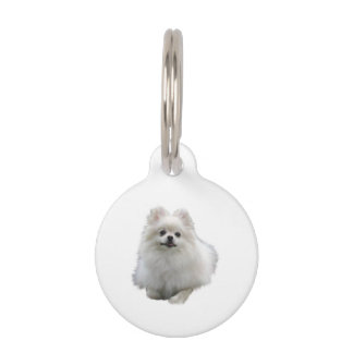 Médaillon Pour Animaux Pomeranian Dog