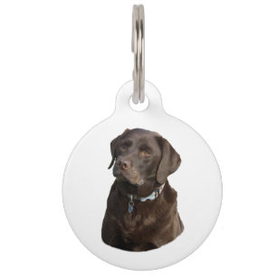 Médaillon Pour Animaux Portrait de photo de chien de Labrador de chocolat
