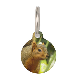 Médaillon Pour Animaux Portrait d'un écureuil Photographie d'animal de na