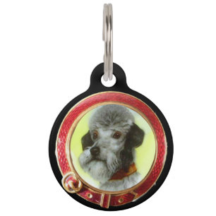 Médaillon Pour Animaux PORTRAITS DE CHIEN DE MINIATURE VICTORIENNE Aireda