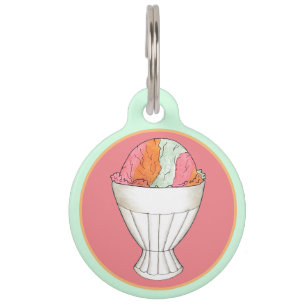 Médaillon Pour Animaux Rainbow Sherbet crème glacée Sorbet Dessert Scoop
