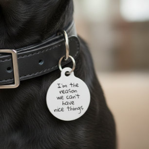 Médaillon Pour Animaux Raison pour laquelle nous ne pouvons pas avoir de 