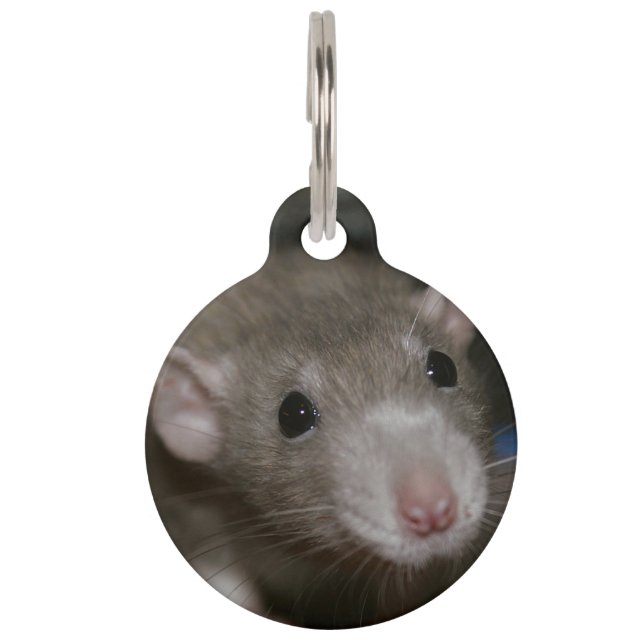Médaillon Pour Animaux Rat curieux (Devant)