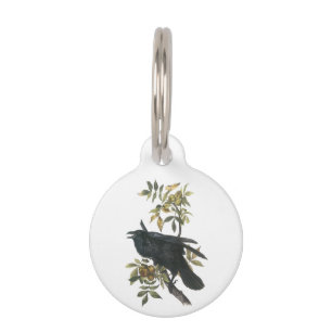 Médaillon Pour Animaux Raven commun par Audubon