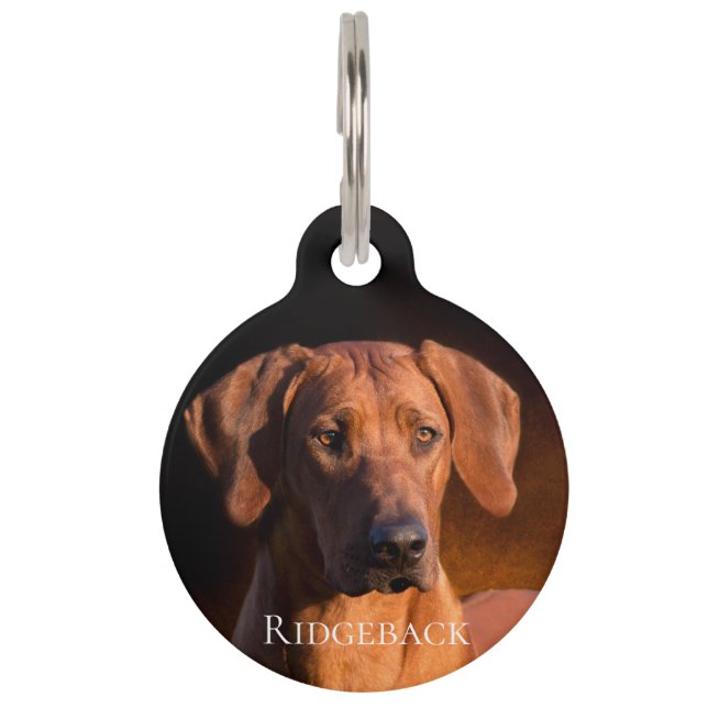 Médaillon Pour Animaux Rhodesian Ridgeback (Devant)