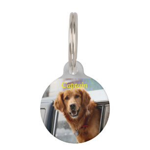 Médaillon Pour Animaux Salut