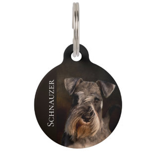 Médaillon Pour Animaux Schnauzer miniature